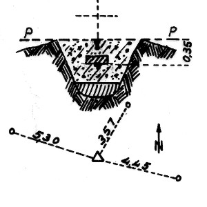 023166 - CIMA DELL'ALBERO