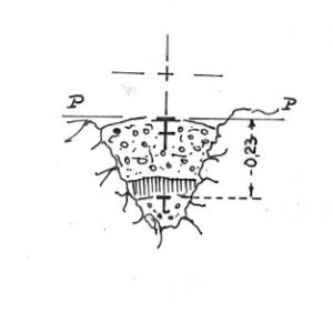 024280 - MONTE VENCHIAR