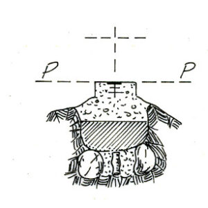 027028 - LAGO VERNEY (Q.2294)