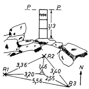029006 - CORNO BIANCO