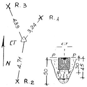 030006 - CIMA DI BO'