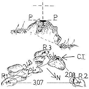 030145 - ORO DEL NASSO