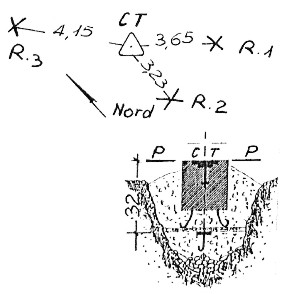 030175 - CIMA LAMPONE