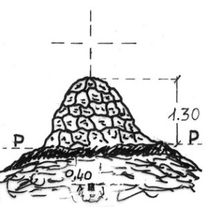 031132 - MONTE ORFANO