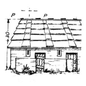 036282 - CASERA PIDOCCHIO