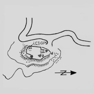 036901 - EX FORTE VERLE