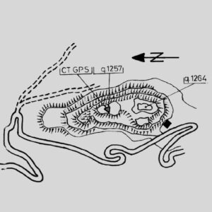 036904 - ZUGNA TORTA