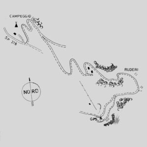 036906 - COLME DI VIGNOLA