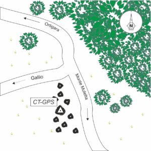 037601 - CAMPOMULETTO