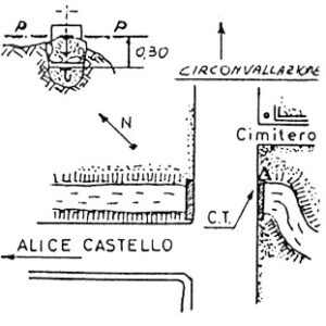 043242 - ALICE CASTELLO