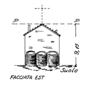 047118 - MONTE SAN GIORGIO