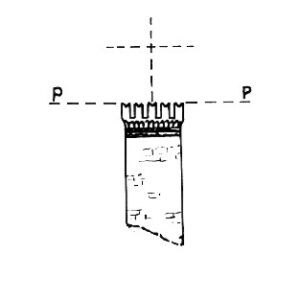 055103 - REANO