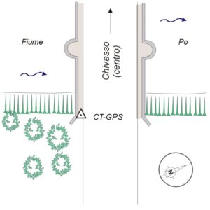 056709 - CHIVASSO - PONTE SUL PO