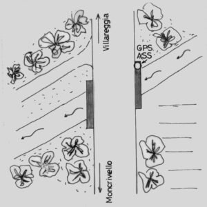 057802 - MONTE VESCO - A