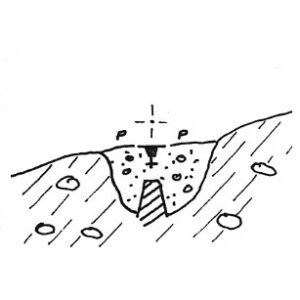 069191 - CASCINA SANTA RITA