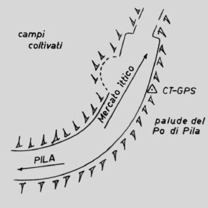 077902 - PILA