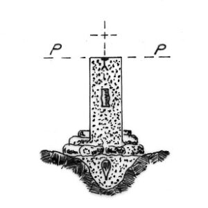 079079 - MONTE SAVI