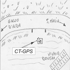 081619 - GALLO D'ALBA