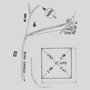 081901 - OLMO GENTILE