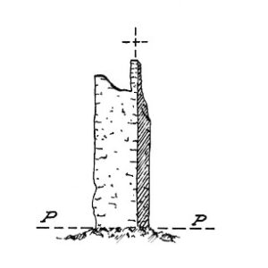 082163 - TORRE ALBAROLA