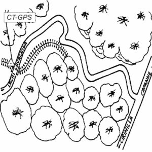 082605 - CASE FERRERE