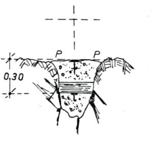 086134 - FAETO (FC1) - FC