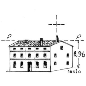089055 - COGOLLO