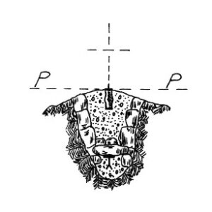 090078 - QUOTA 2808