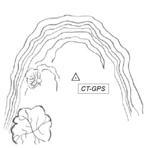 094602 - PUNTA CAREGA