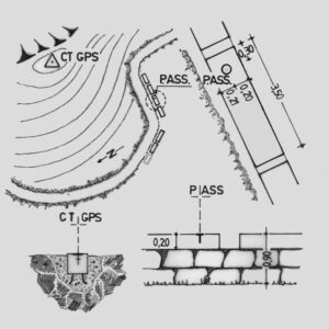 097904 - ALPE DI SAN PELLEGRINO - A
