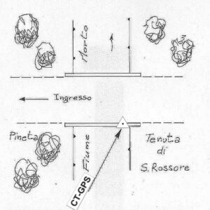 104605 - TENUTA DI SAN ROSSORE
