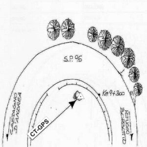 107603 - CASTAGNO D'ANDREA