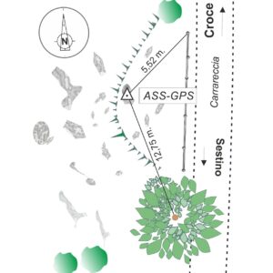 108907 - SASSO DI SIMONE - A