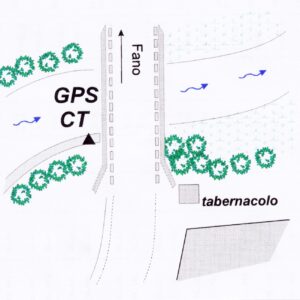 109705 - PONTE MURELLO