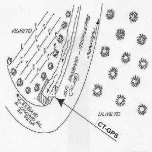 113618 - SAN FABIANO