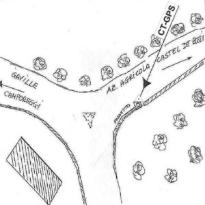 113626 - CASTEL DE ROSSI