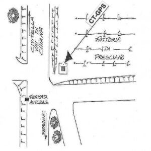 114603 - PIEVE A PRESCIANO