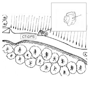 119605 - POGGIO SUGHERINO