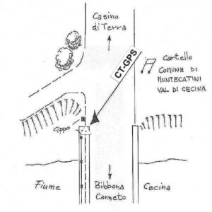 119624 - PONTE SUL FIUME CECINA
