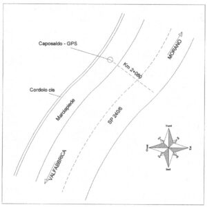 123908 - POGGIO SAN DIONISIO