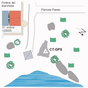 126911 - ISOLA DI PIANOSA - PODERE DEL MARCHESE
