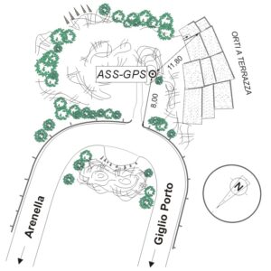 142903 - ISOLA DEL GIGLIO - A