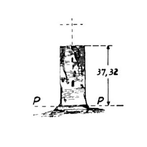 144094 - TORRE FIORA