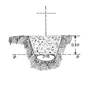 146136 - MANDRA MURATA