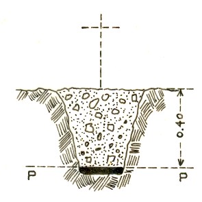 146183 - MONTE DELLE MACCHIE