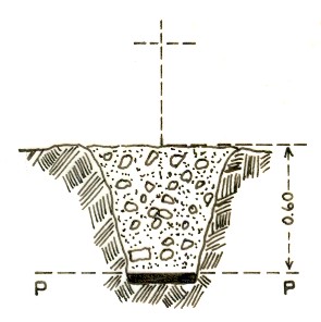 146184 - COLLE RISCHIA