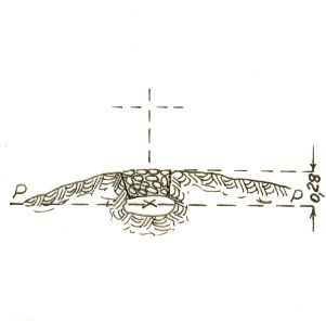 147215 - COLLE GIGLIASTRO