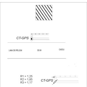 147622 - CORPI SANTI