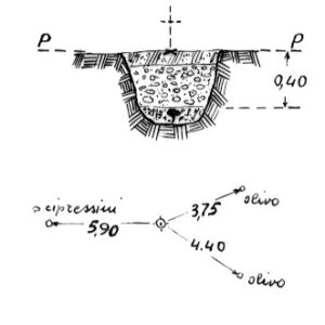 151194 - COLLE BUFALO
