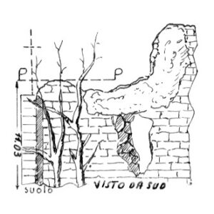 151200 - SAN GIROLAMO